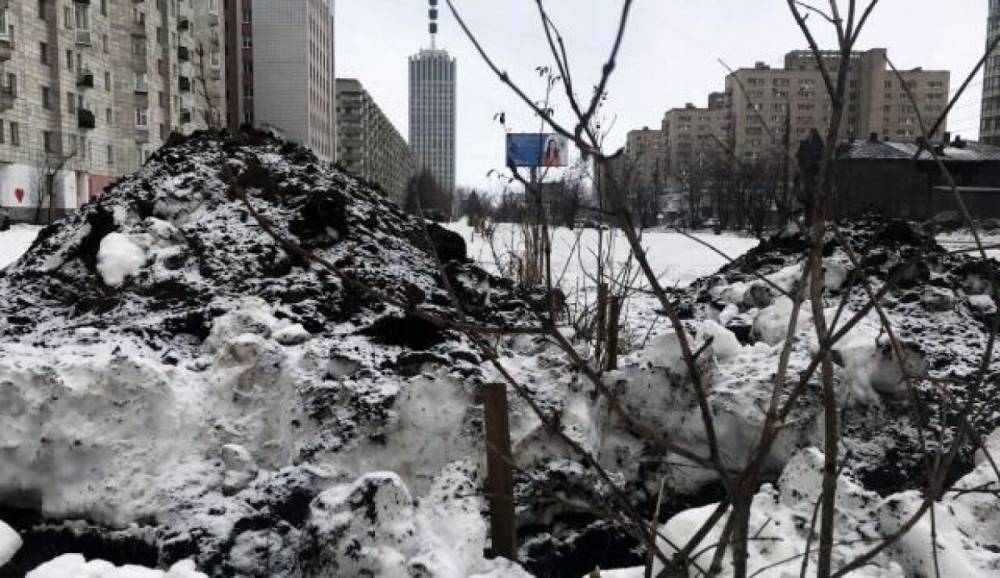 Трактор выломал с корнем деревья на «Аллее славы» в Архангельске