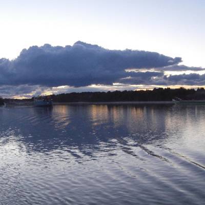 Правительство отклонило проект целлюлозного завода на Рыбинском водохранилище