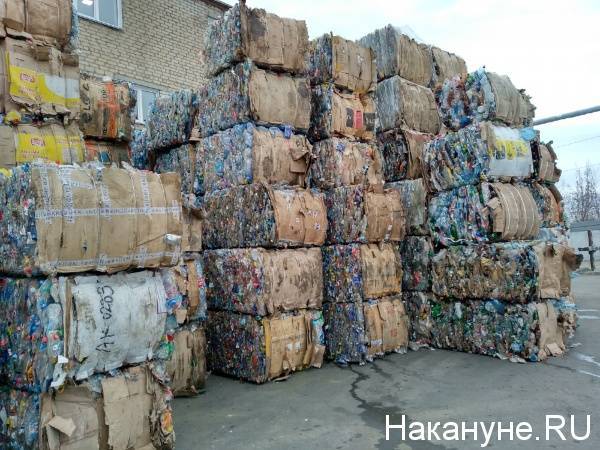 Минприроды РФ предложили ограничить использование пластиковых пакетов и микропластика