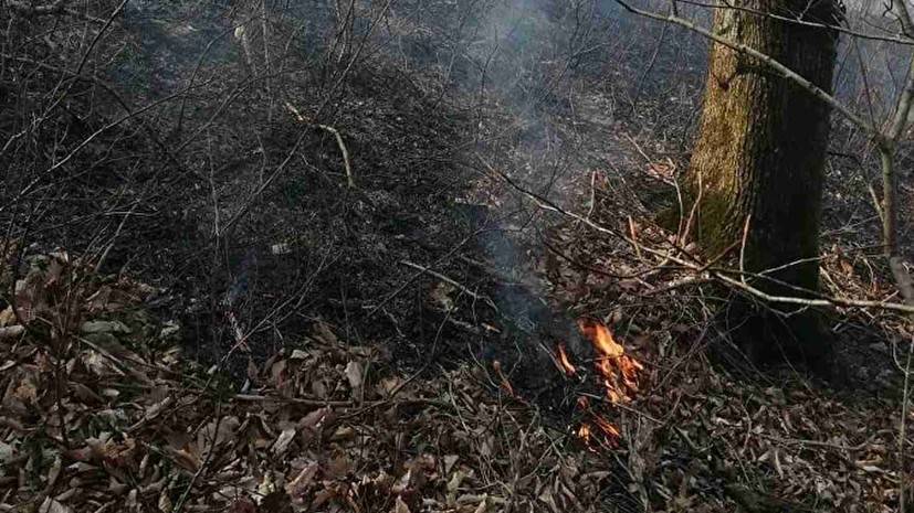 В Севастополе вводят пожароопасный сезон с 23 марта