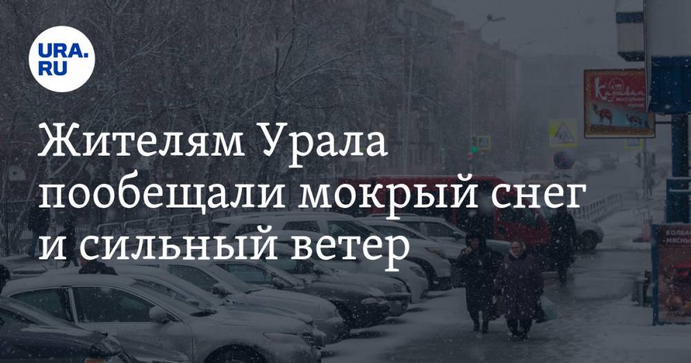 Жителям Урала пообещали мокрый снег и сильный ветер