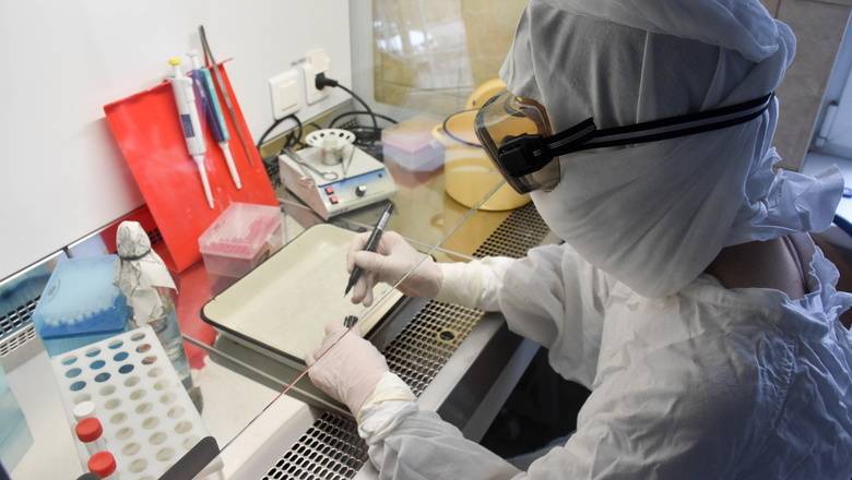 В России коронавирус обнаружили еще у 11 человек