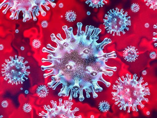 Специалист сравнил смертность от коронавируса и туберкулеза: «50 процентов паники»