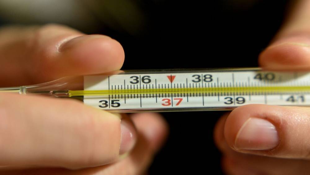 Всем участникам съезда карелов в Олонце измерили температуру