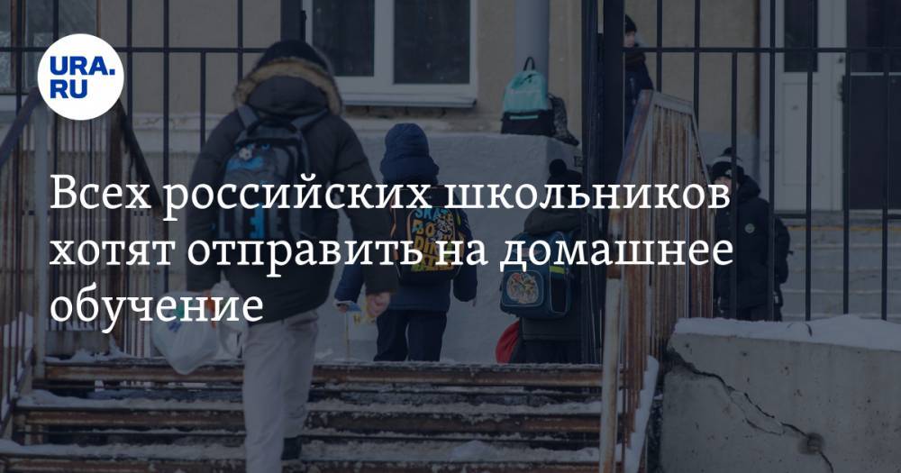 Всех российских школьников хотят отправить на домашнее обучение
