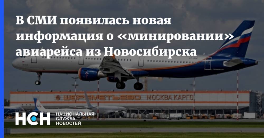 В СМИ появилась новая информация о «минировании» авиарейса из Новосибирска