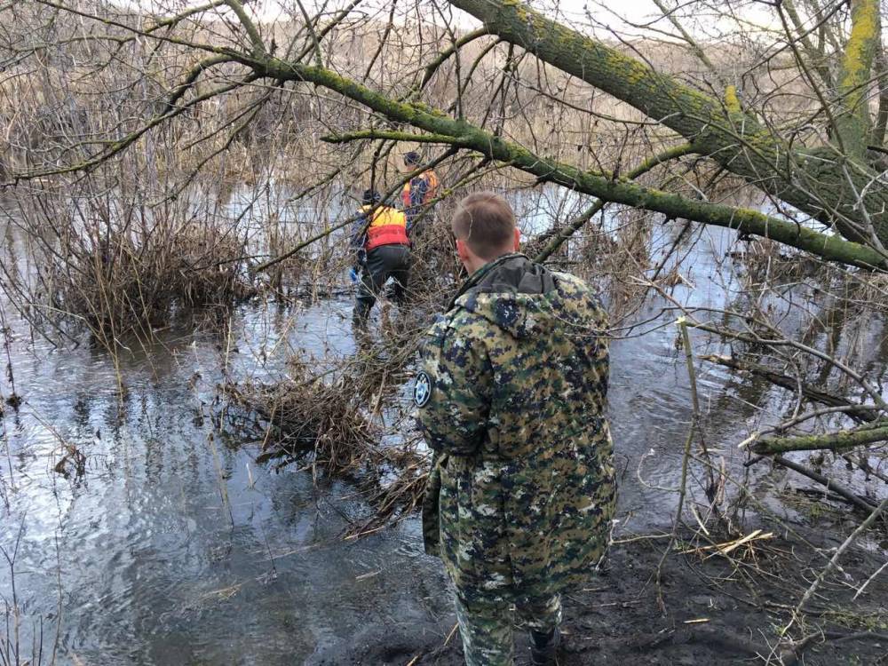 Тело предположительно пропавшего школьника нашли в Саратовской области