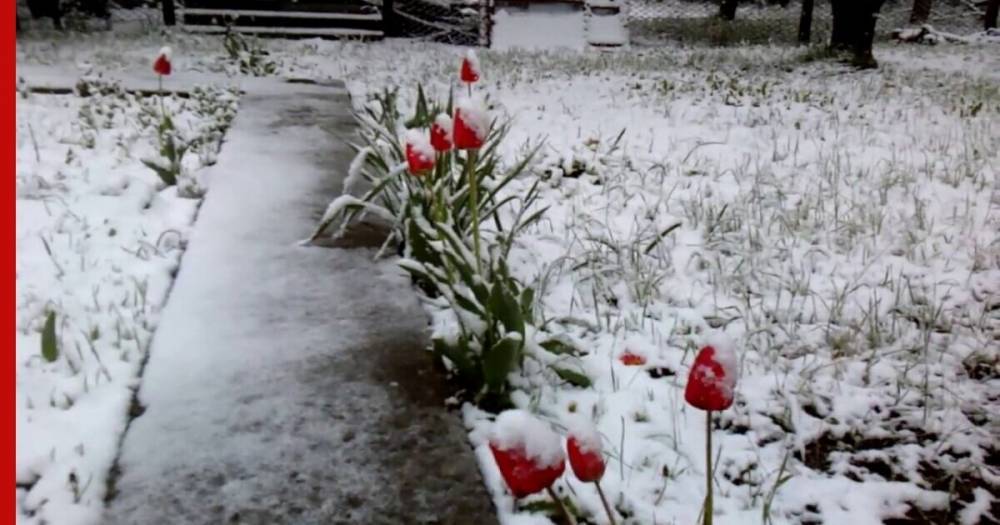 Синоптики рассказали о погоде в Москве 15 марта