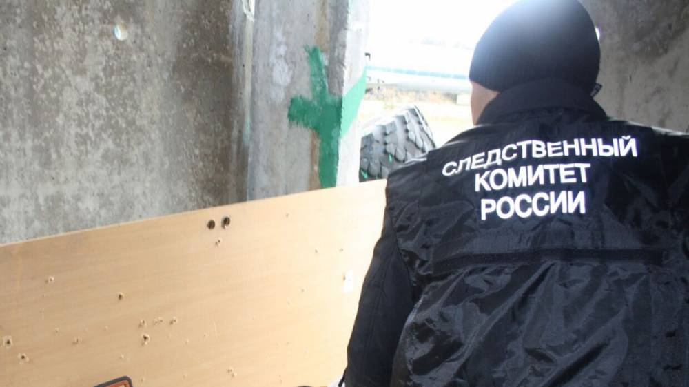 Школьницы из Владивостока сняли избиение одноклассницы на телефон