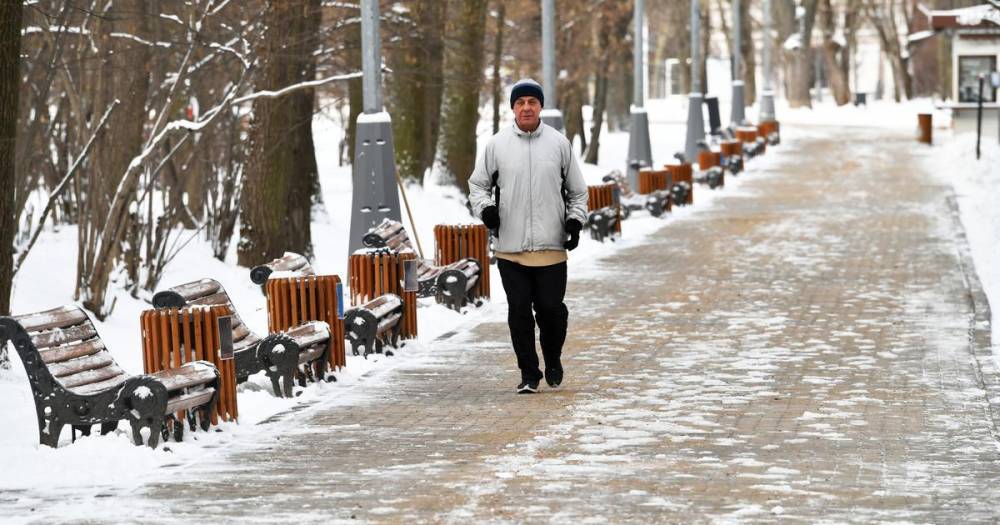 Вильфанд рассказал, почему в Москве выпал снег