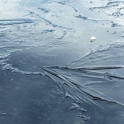 Двое детей провалились под лед в подмосковной деревне Троицкое