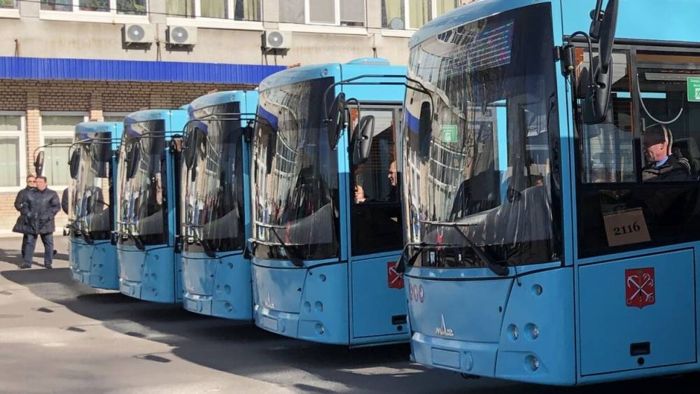 В Петербург доставили пять новейших лазурных автобусов из Белоруссии