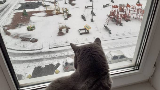 В середине марта Петербург замело снегом