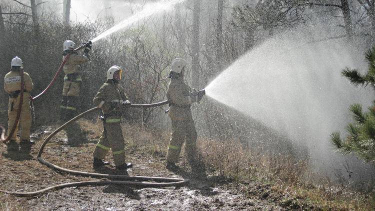 В Крыму ночью загорелся Ялтинский горно-лесной заповедник