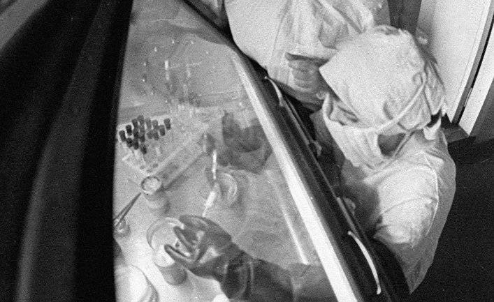 Черная оспа: как удалось остановить смертельную эпидемию в 1950-х? (Обозреватель, Украина)