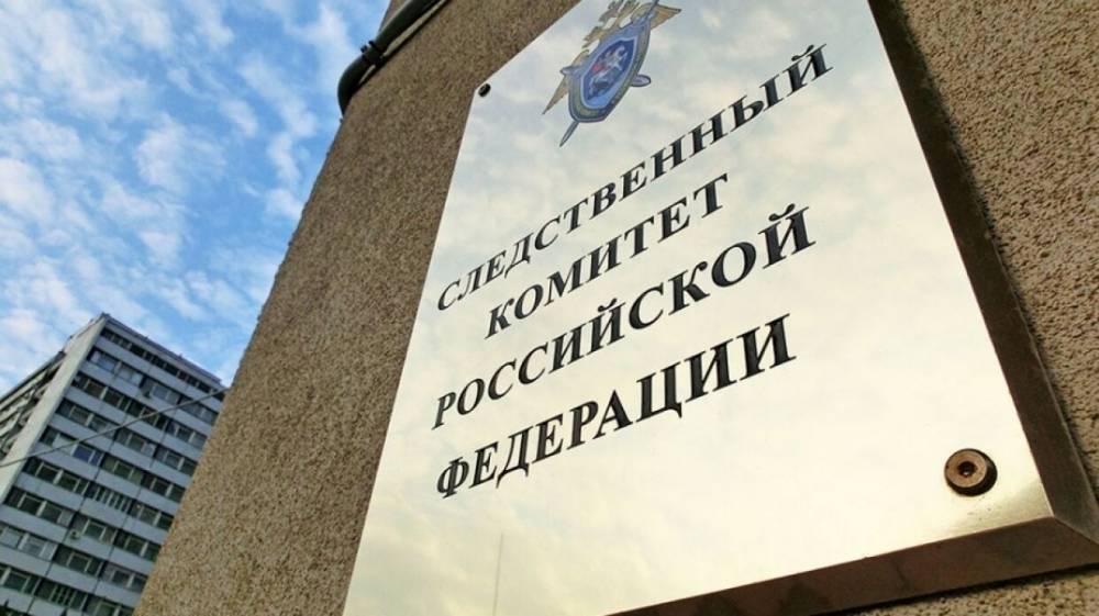 СК РФ проверит информацию о получившем ожоги из-за сухого льда ребенке в Москве