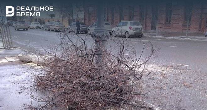 Власти Казани объяснили вырубку деревьев в центре города