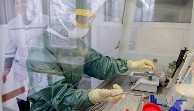 Россия и Япония разработали высокоточный тест для диагностики коронавируса