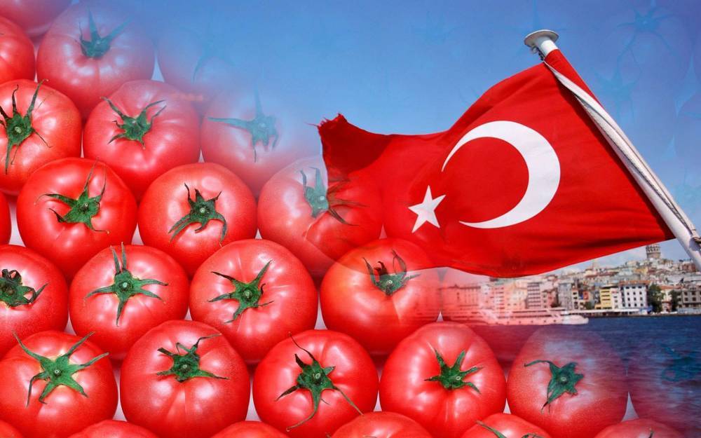 Как поход в «Пятерочку» изменил мое отношение к Турции