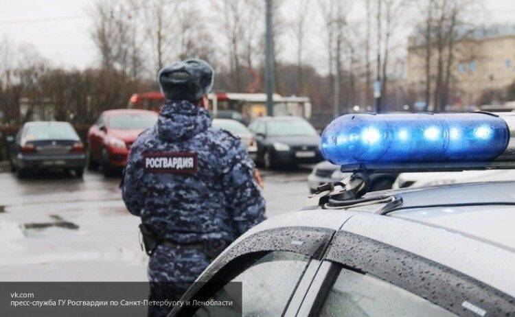 Росгвардия во Владимире задержала сбежавшего виновника смертельного ДТП