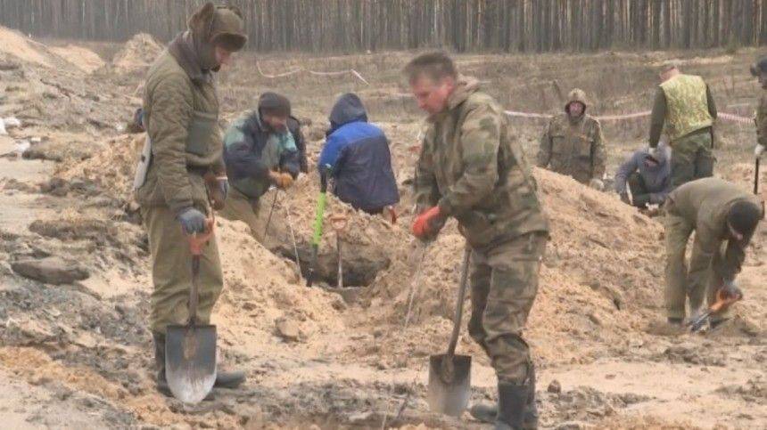 Останки красноармейцев нашли у трассы «Кола» в Ленинградской области