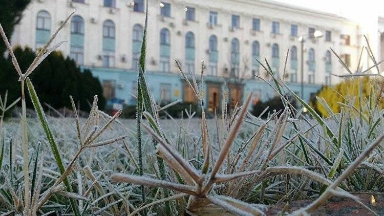 Эксперт рассказал, какие культуры пострадали от заморозков в Крыму