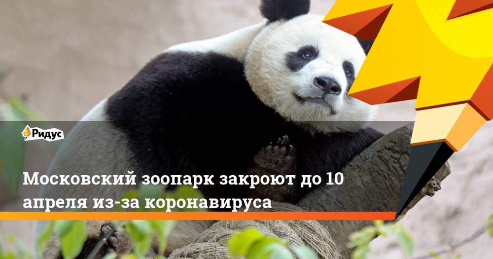 Московский зоопарк закроют до 10 апреля из-за коронавируса