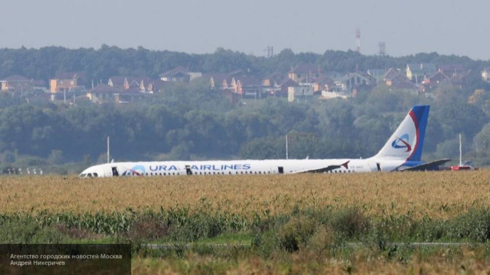 Пилот севшего в кукурузном поле самолета опроверг свой переход в отряд "Россия"