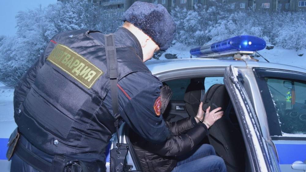 Росгвардейцы задержали водителя, сбившего насмерть пешехода во Владимире