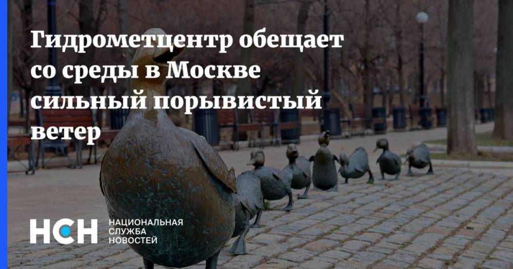 Гидрометцентр обещает со среды в Москве сильный порывистый ветер