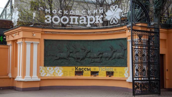 В Москве на карантин закрылись Пушкинский музей и зоопарк