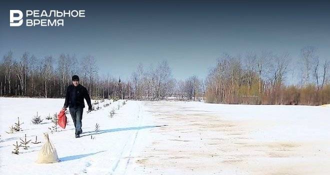 В лесных питомниках Татарстана проводят работы по «чернению снега»