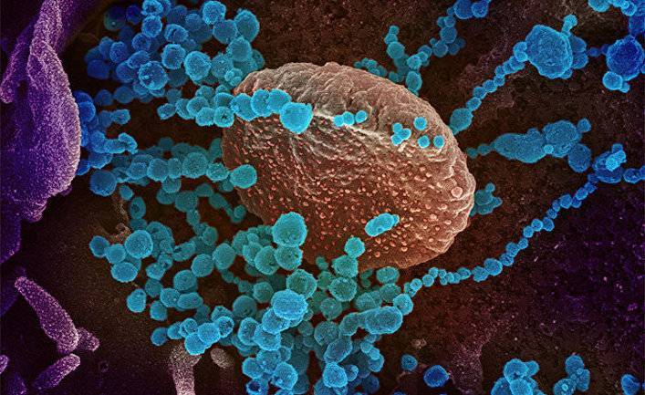The Times (Великобритания): даже излечившимся от коронавируса грозит поражение легких на 15 лет