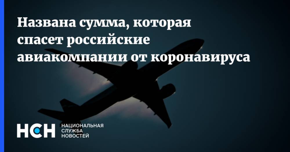 Названа сумма, которая спасет российские авиакомпании от коронавируса
