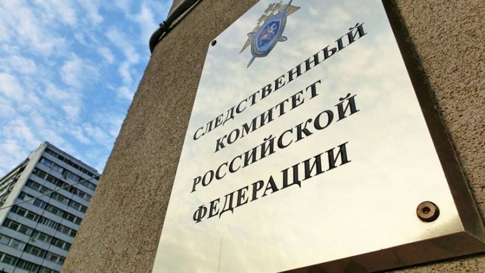 СК РФ завел дело после инцидента с сухим льдом на детском празднике в Москве