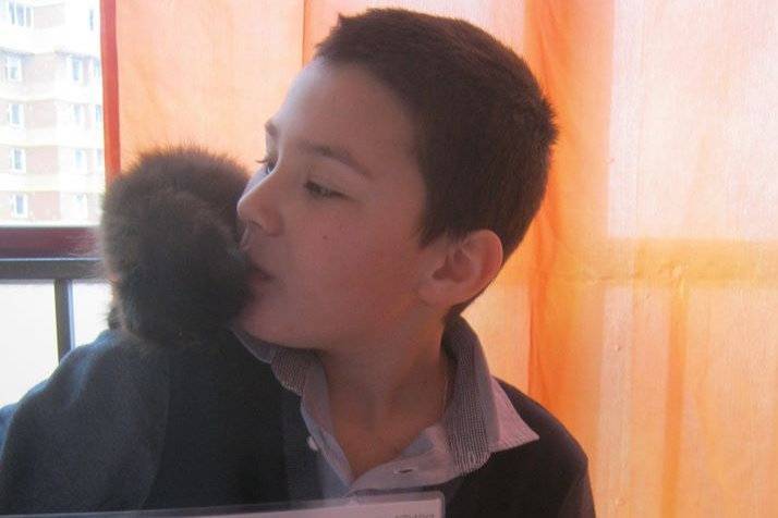 Третьеклассник из Сибири стал спасителем для десятков собак и птиц