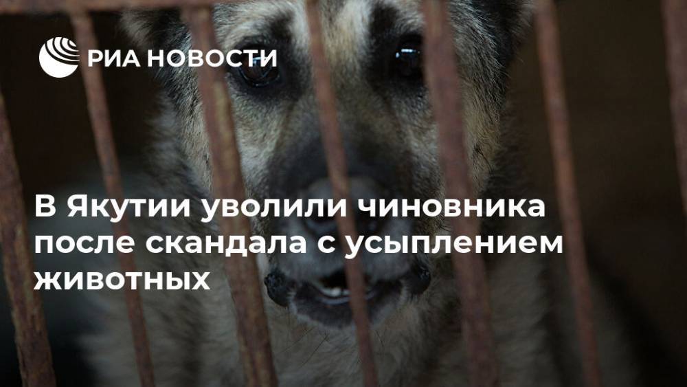 В Якутии уволили чиновника после скандала с усыплением животных