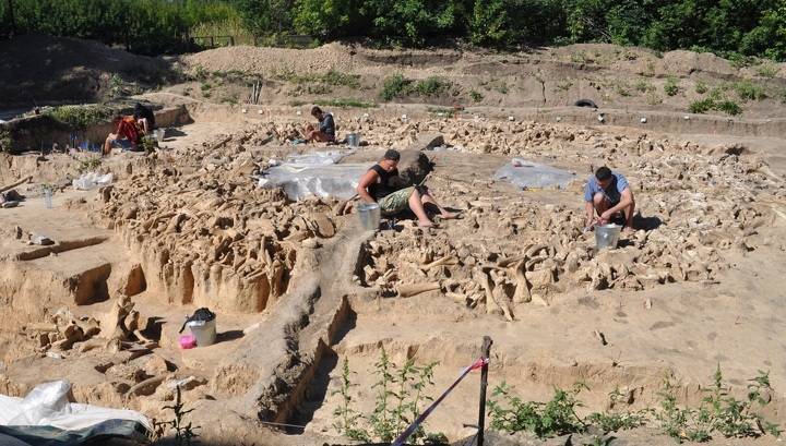 В Воронежской области найдено древнейшее сооружение из костей мамонтов