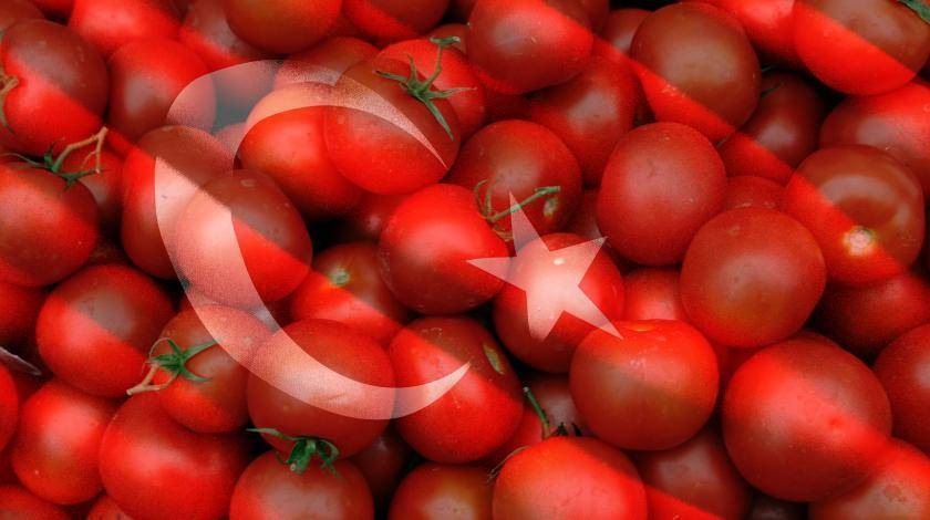 Анкара доигралась: в России резко снизился спрос на турецкие продукты