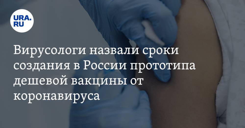 Вирусологи назвали сроки создания в России прототипа дешевой вакцины от коронавируса