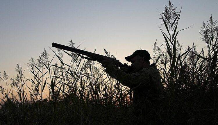 В России предложили узаконить охотничьи избы и сараи