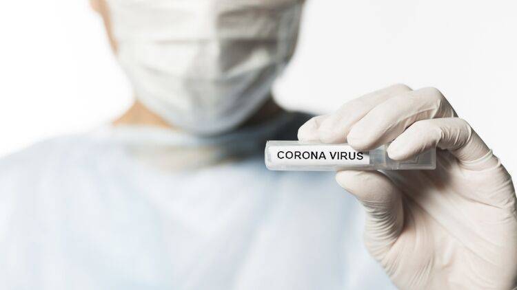 Ученые МГУ выразили готовность к созданию вакцины от коронавируса