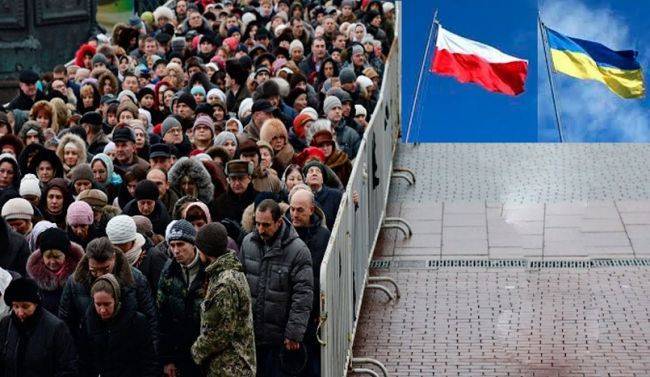Украинцы в Германии и Польше осаждают посольства, чтобы вернуться домой