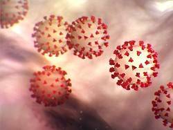 Раскрыт худший сценарий развития пандемии коронавируса