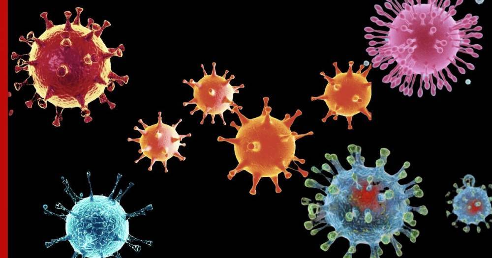 Ученый из Новосибирска рассказал о разных видах коронавируса