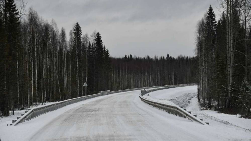 Счетная палата сообщила о миллиардном ущербе от незаконной вырубки леса в РФ
