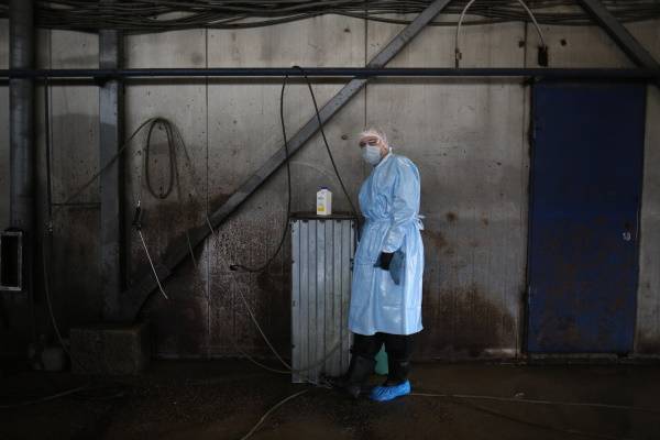 Евросоюз заподозрил Россию в распространении фейков о коронавирусе