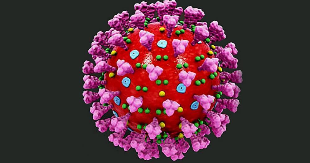 Ученые узнали срок жизни коронавируса на разных поверхностях
