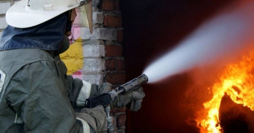 В Псковской области сгорели нежилые дома в Невеле и Острове