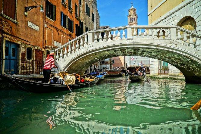 Рыба вернулась в каналы Венеции, поскольку вода стала чище во время карантина из-за коронавируса